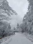 雪覆山林间的静谧小路
