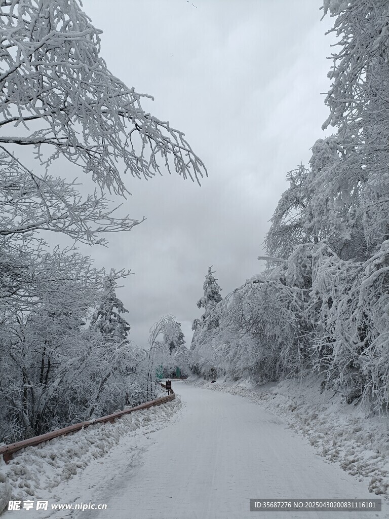 雪覆山林间的静谧小路