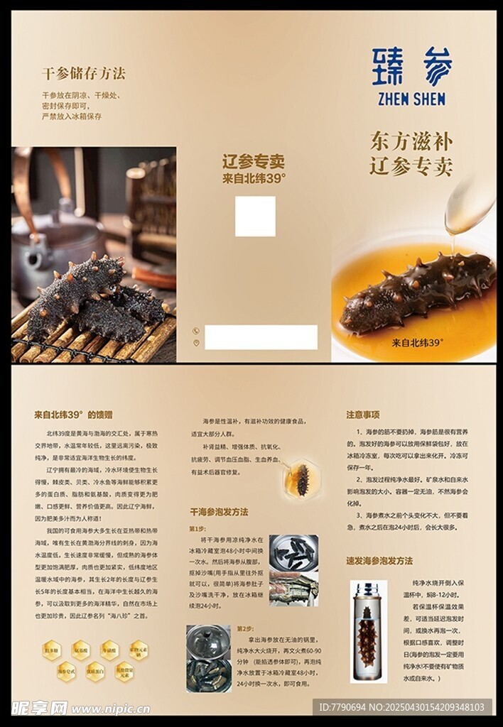 海参宣传折页设计