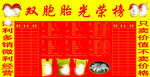 双胞胎 光荣榜