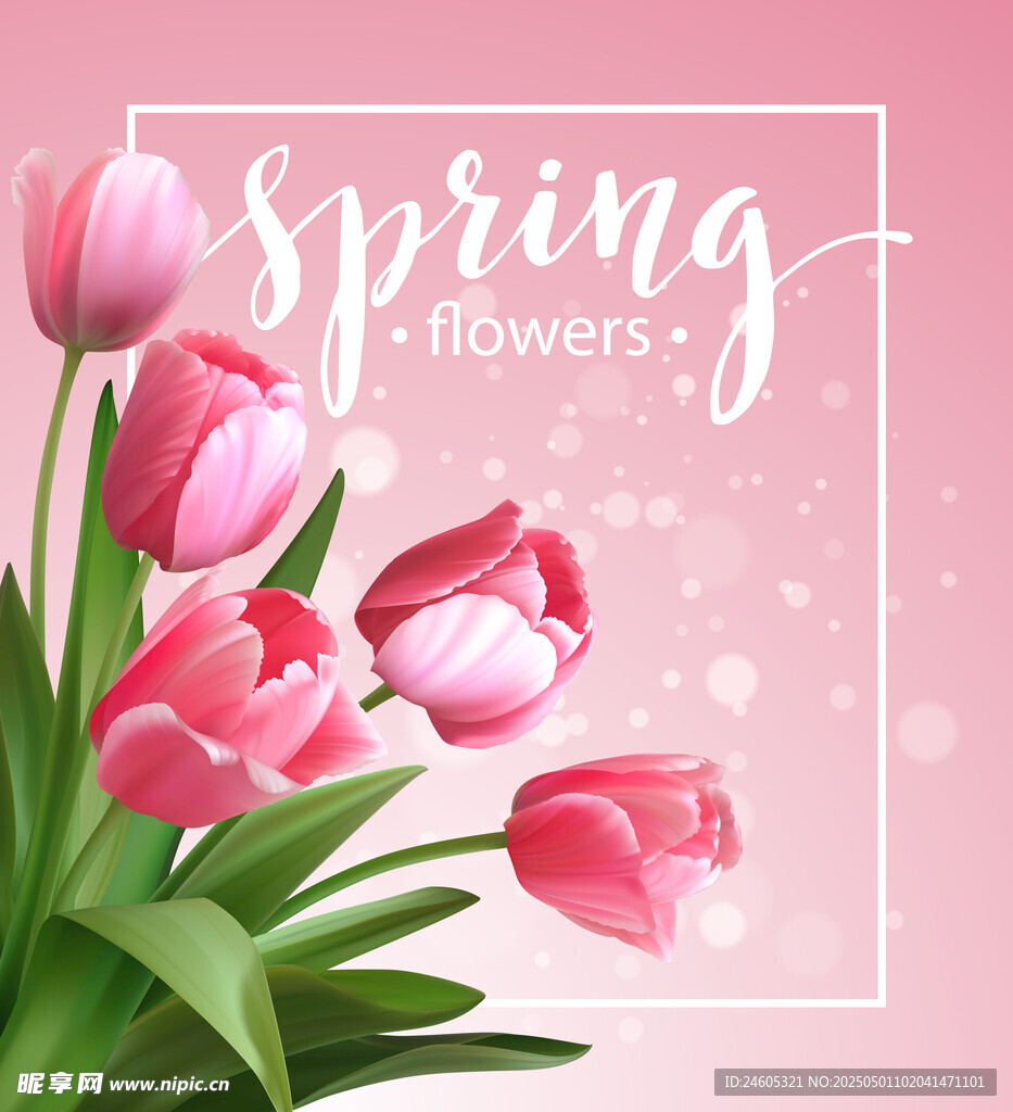 春日粉色郁金香花卉图