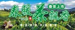春暖茶飘香