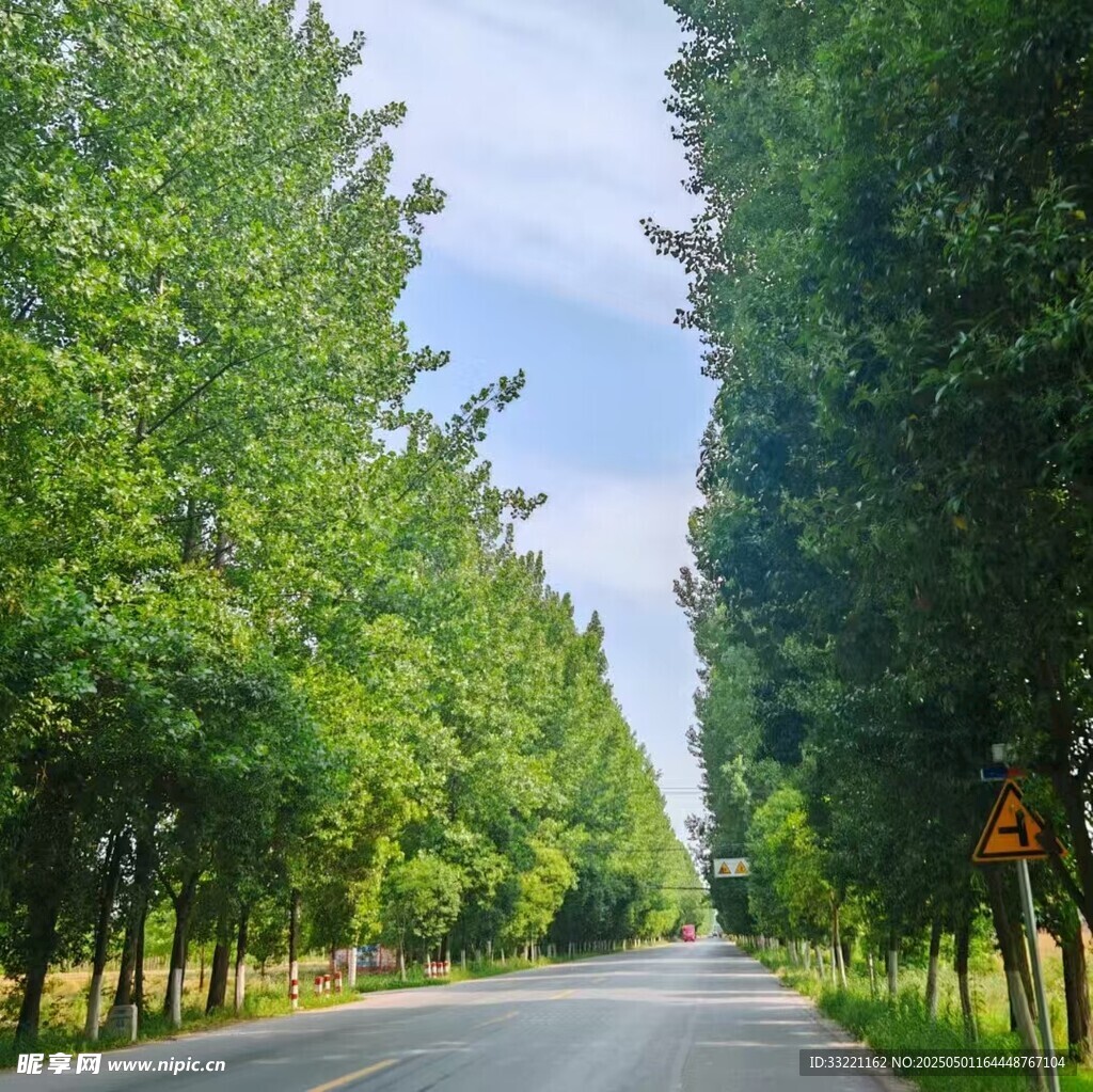 林荫大道