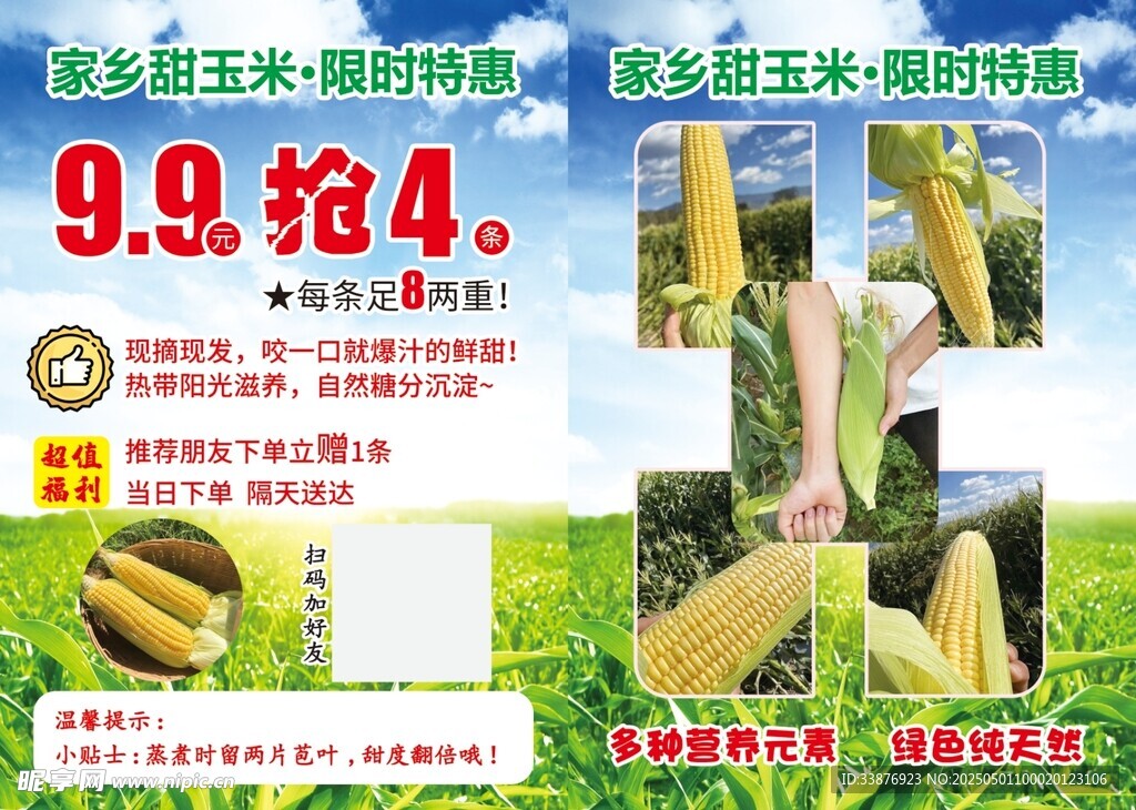 家乡甜玉米