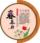 春养肝养生贴宣传图