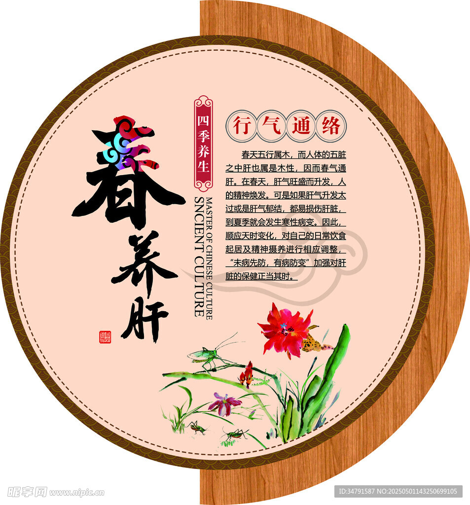 春养肝养生贴宣传图