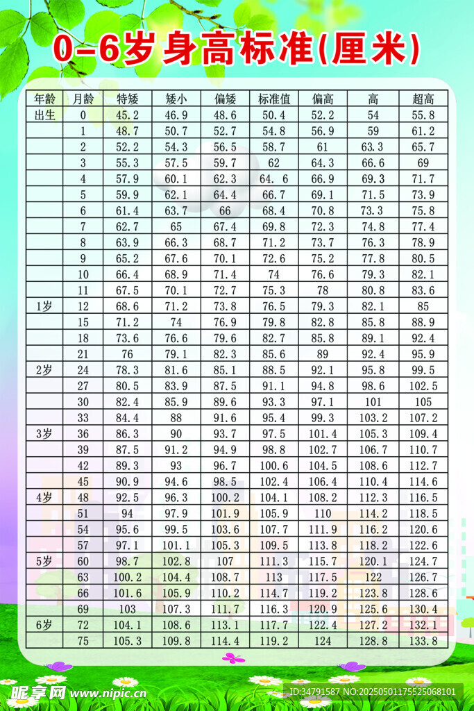 身高表