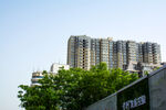 高层住宅与绿树景观