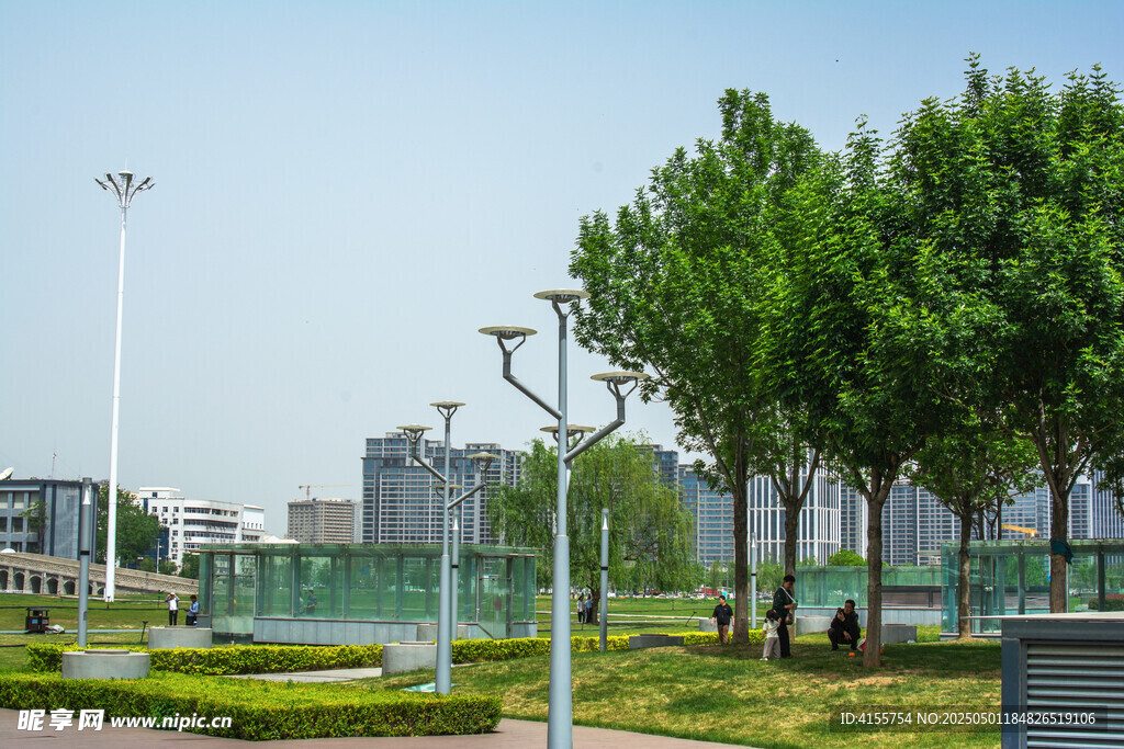 城市河畔绿树成荫景观