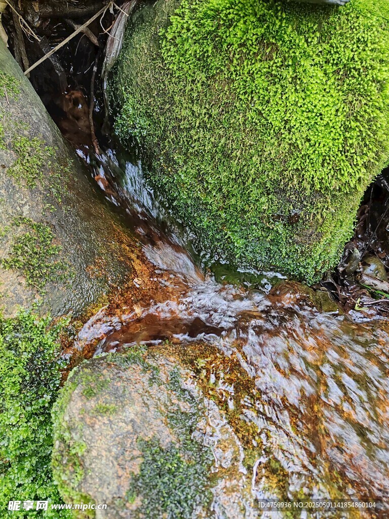 石间溪流覆青苔