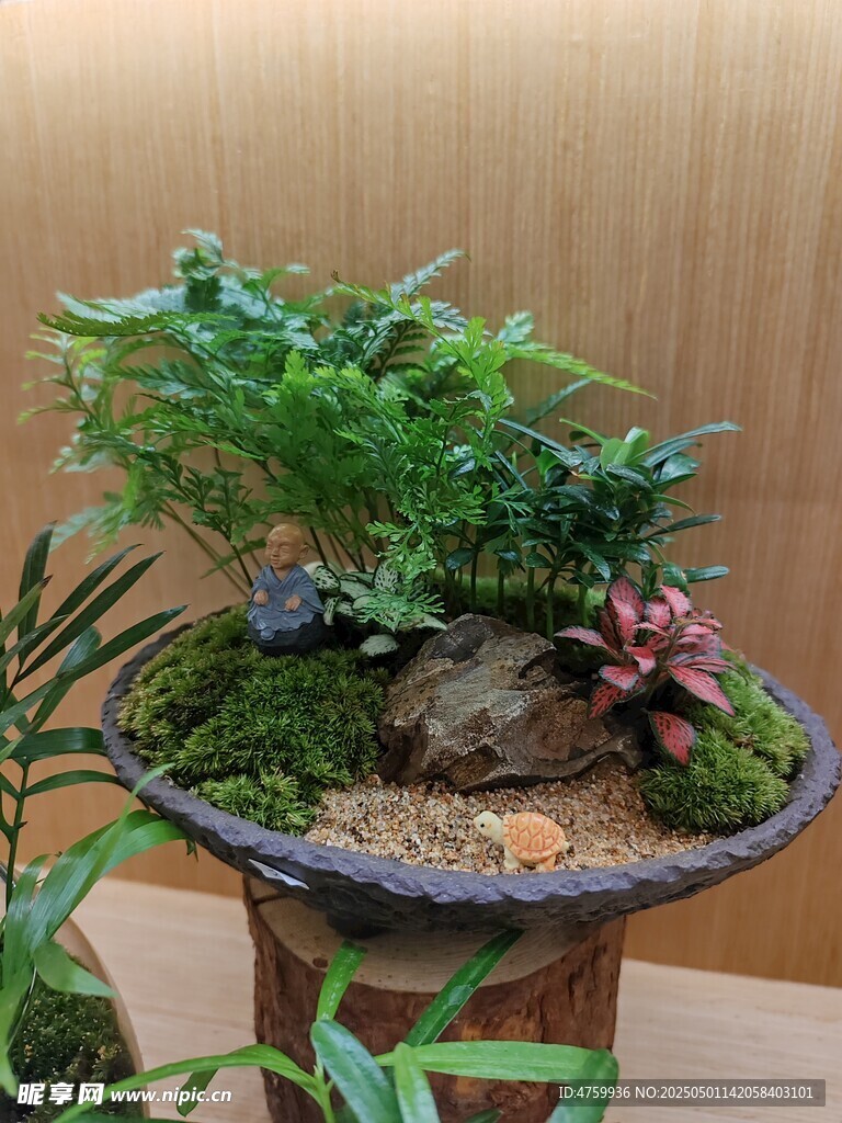 精致盆栽景观