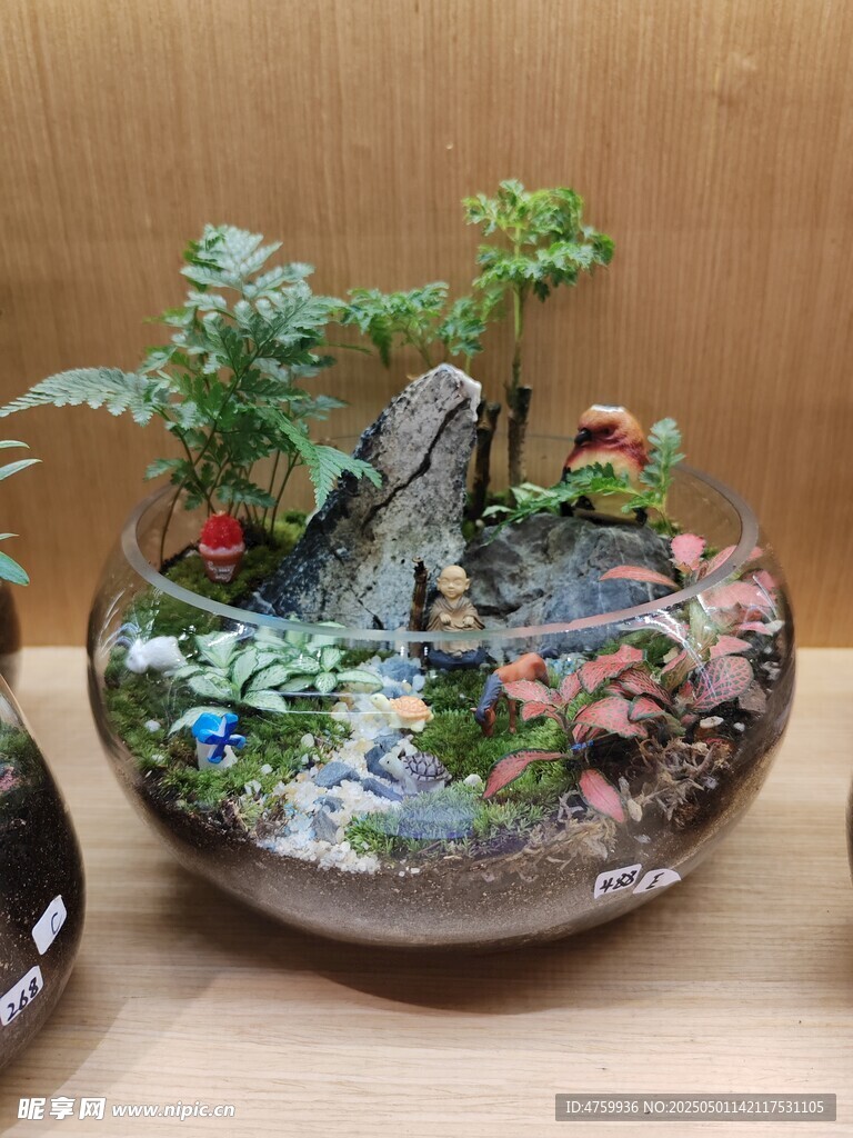 微型景观盆栽