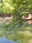 湖畔绿树掩映中式景致
