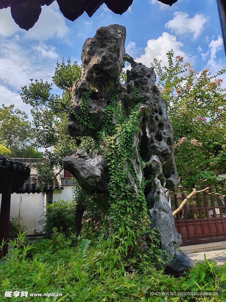庭院中式假山绿植景观