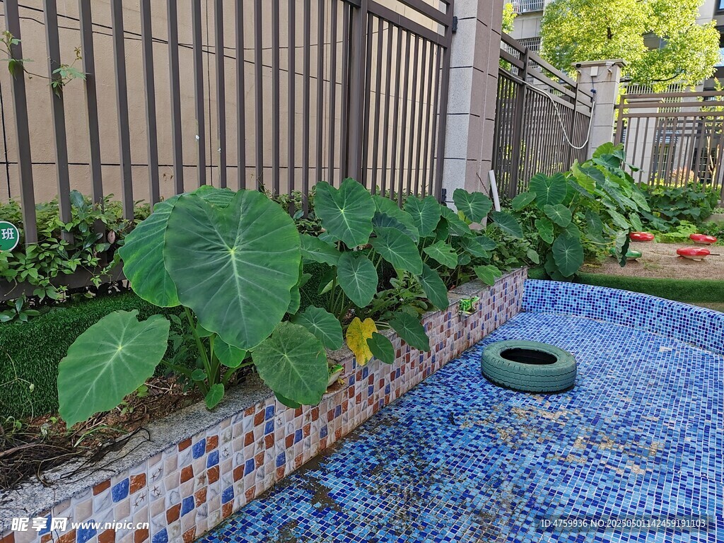 庭院角落绿植碎石景观