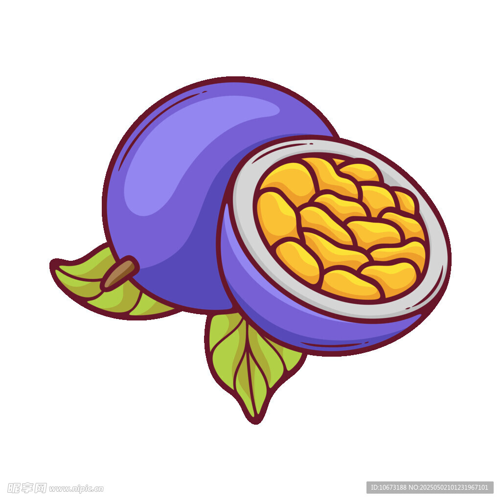 紫色百香果插画