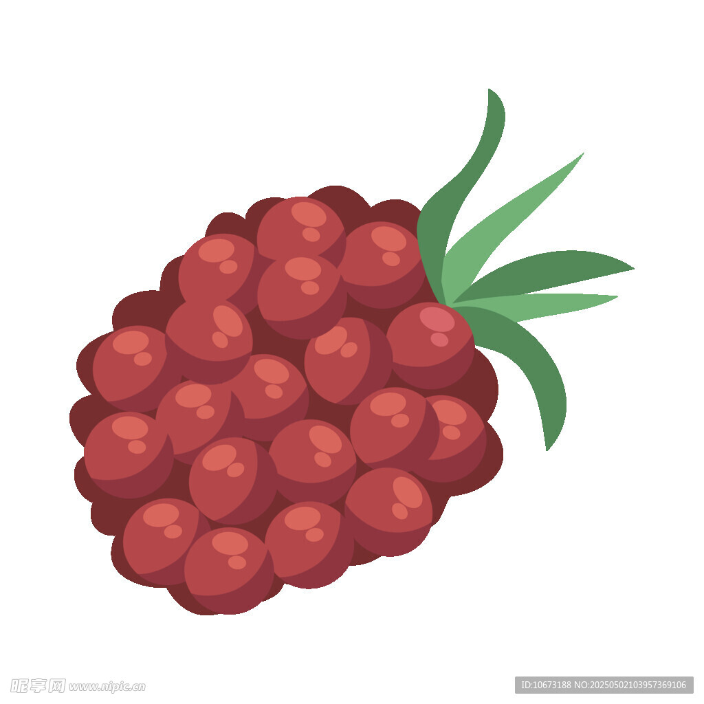卡通风格的红树莓插画