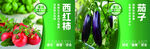 果蔬