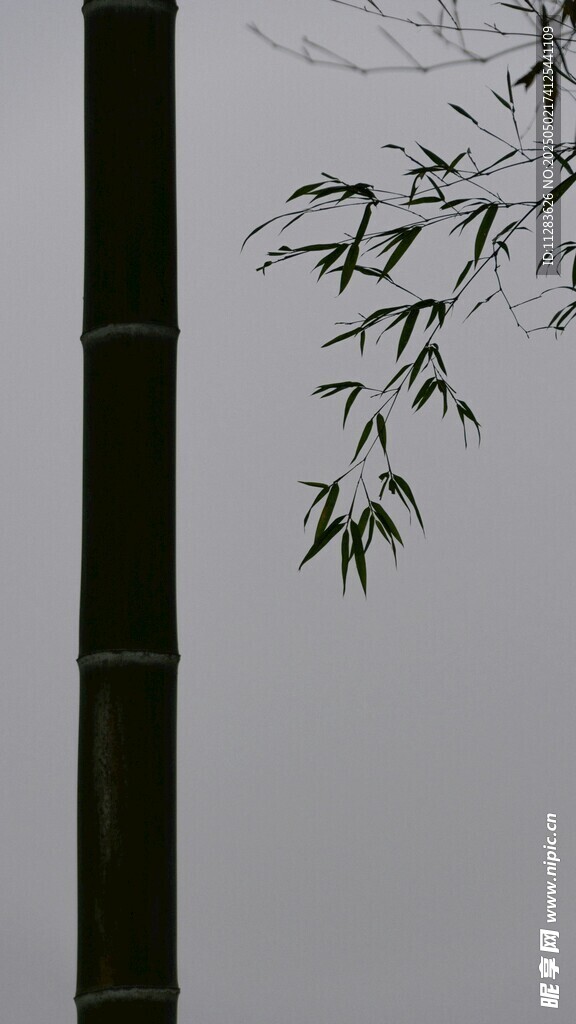 墨竹倚竿图