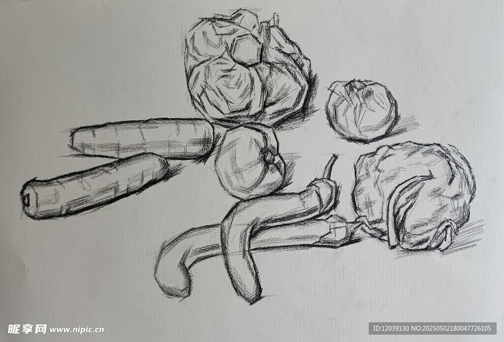 素描静物蔬菜结构