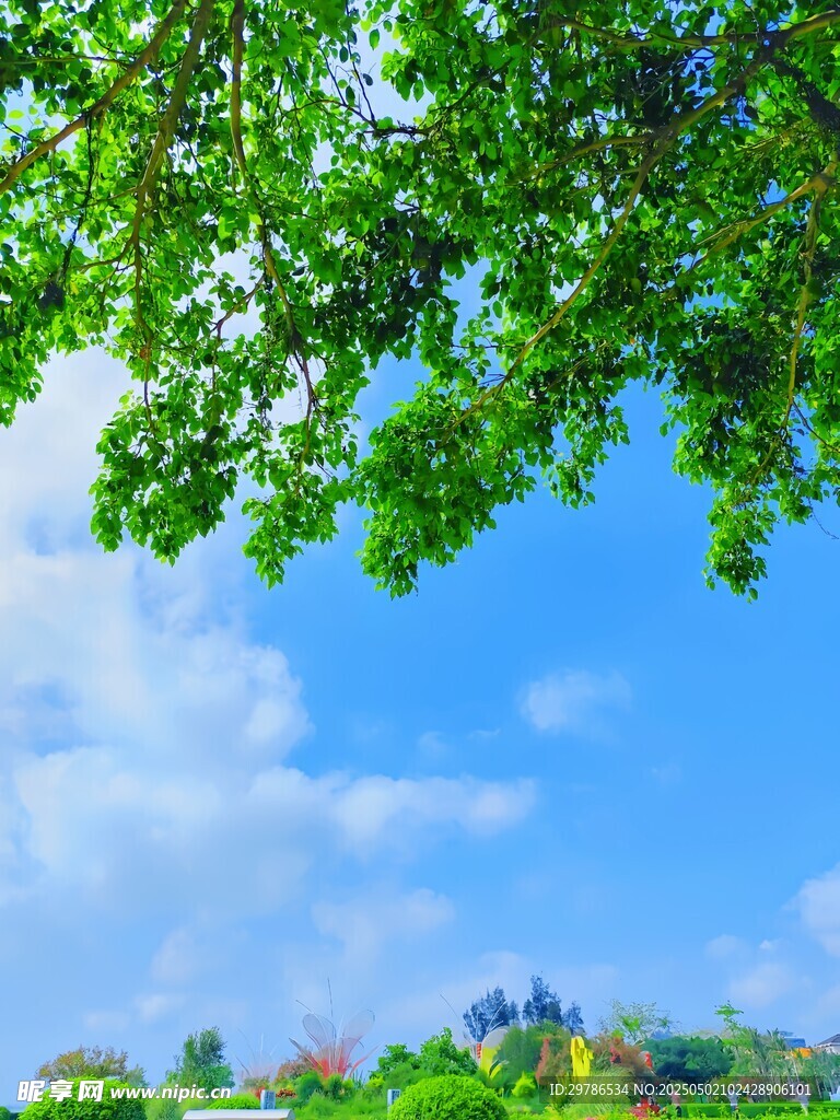 自然风光