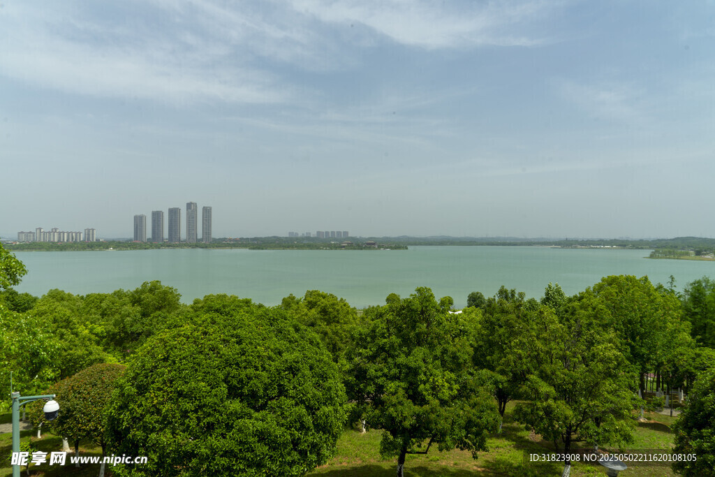 松雅湖畔绿树环绕的开阔景致