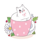 茶杯里的可爱猫咪