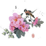 花鸟图