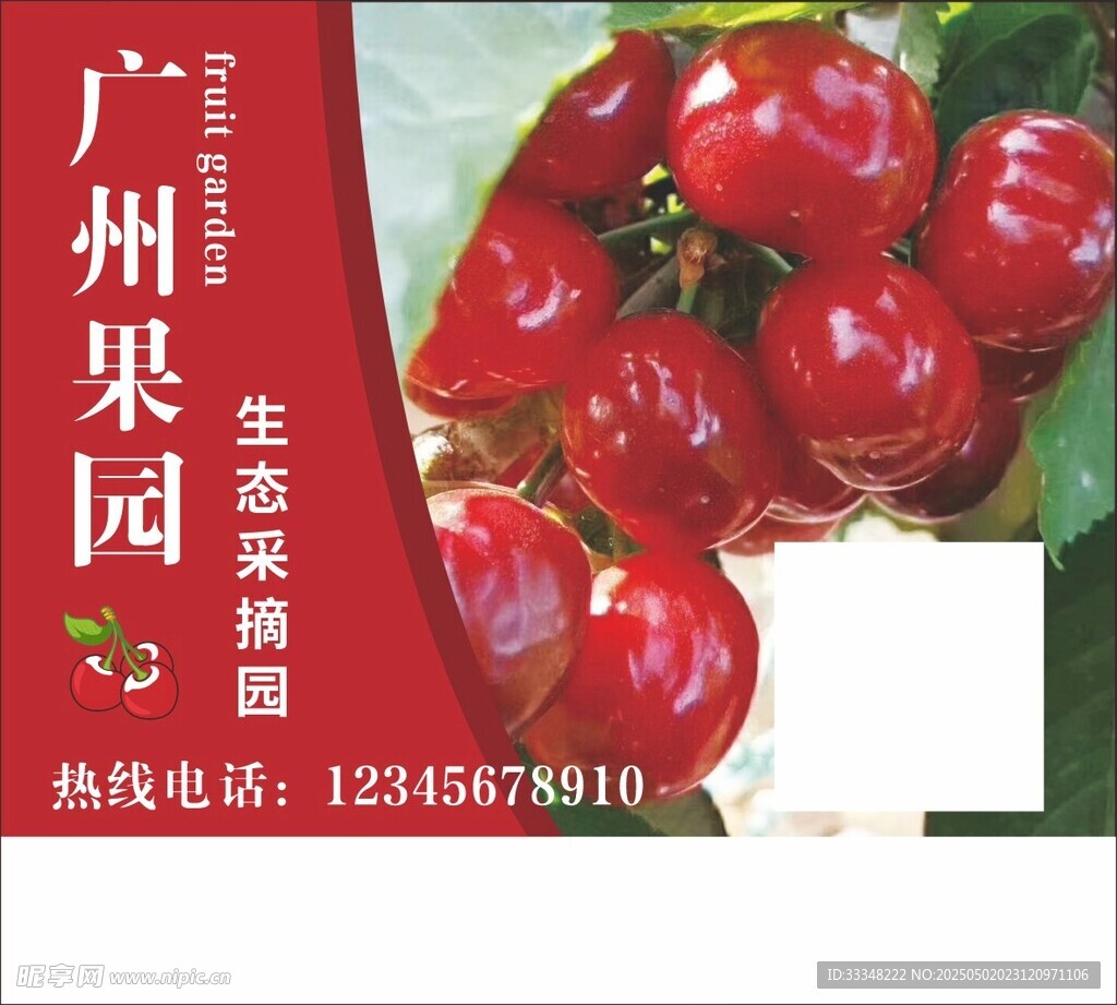 果园采摘