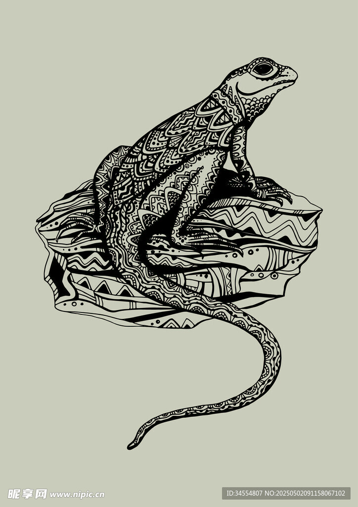 岩石上的蜥蜴插画
