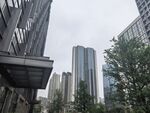 都市高楼与绿树景观