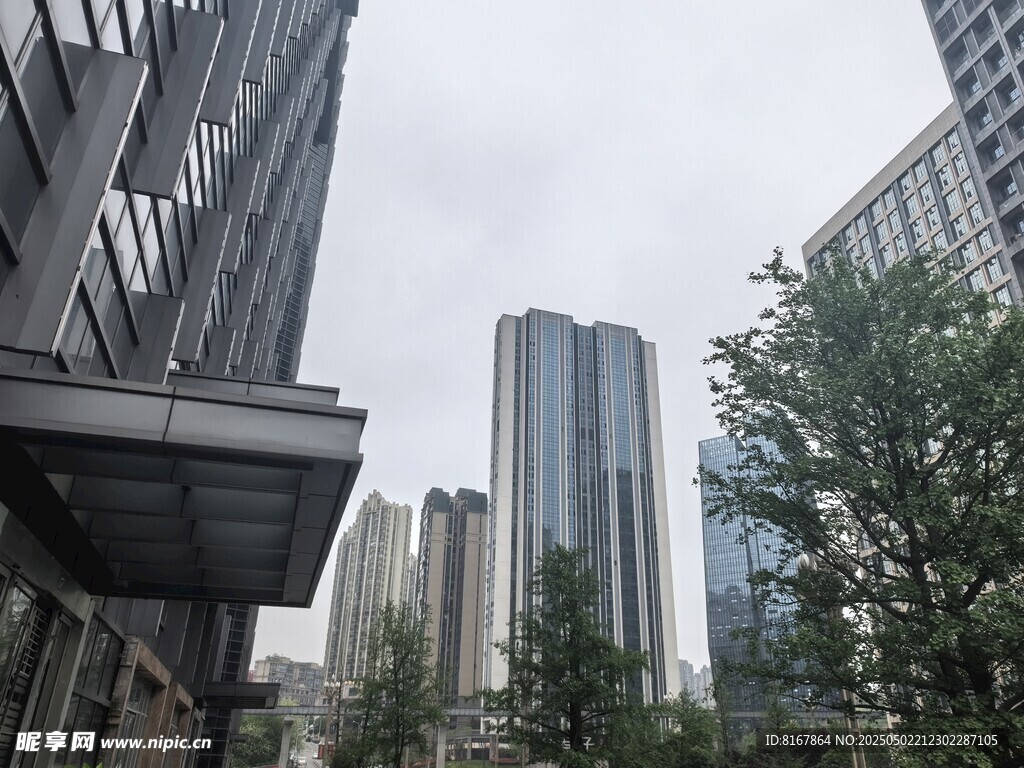 都市高楼与绿树景观
