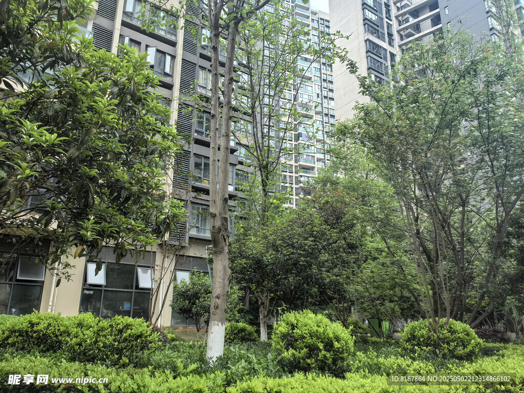 小区绿植环绕的居住环境