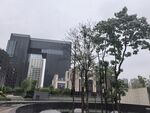 现代建筑旁的绿植景观