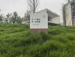 校园标识牌立于葱郁草地