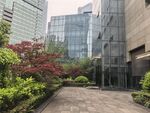 都市中的绿植与现代建筑