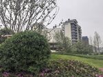 城市花园中的绿植与建筑