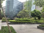 城市中的绿植与现代建筑