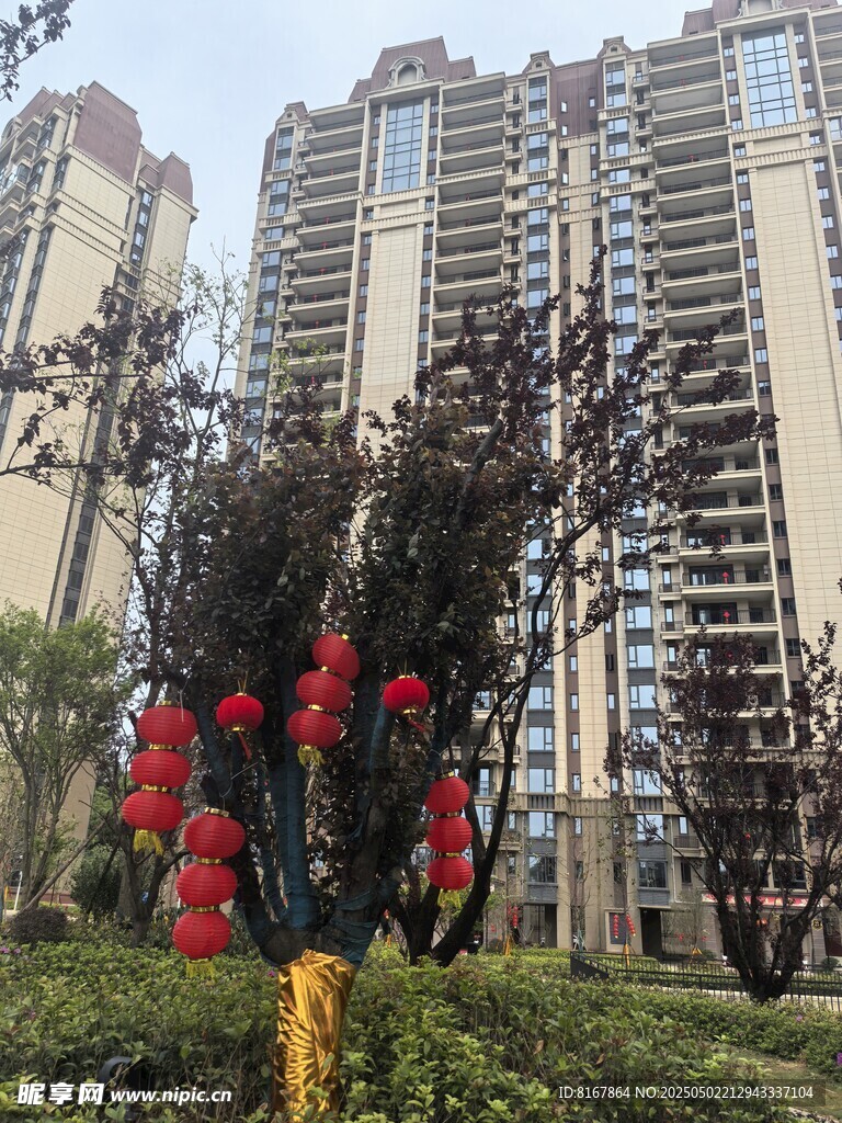 城市高楼旁的繁花绿植