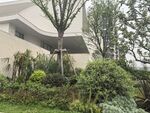 现代建筑旁的绿植景观