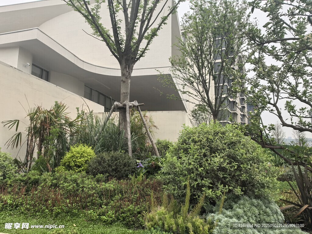现代建筑旁的绿植景观