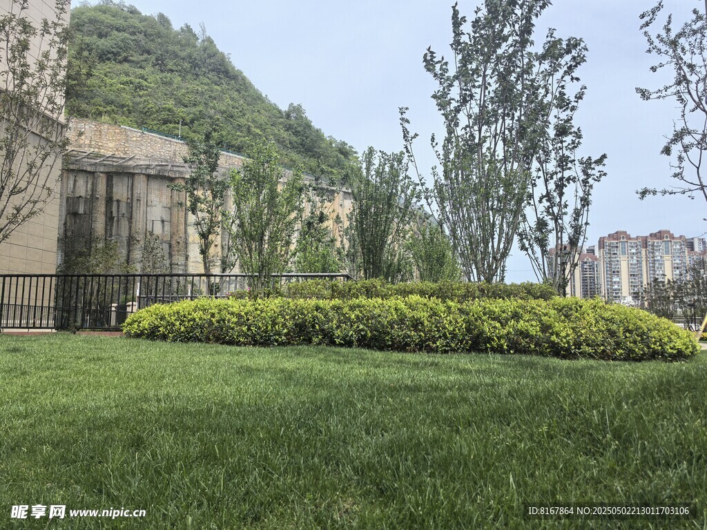 庭院绿植景观