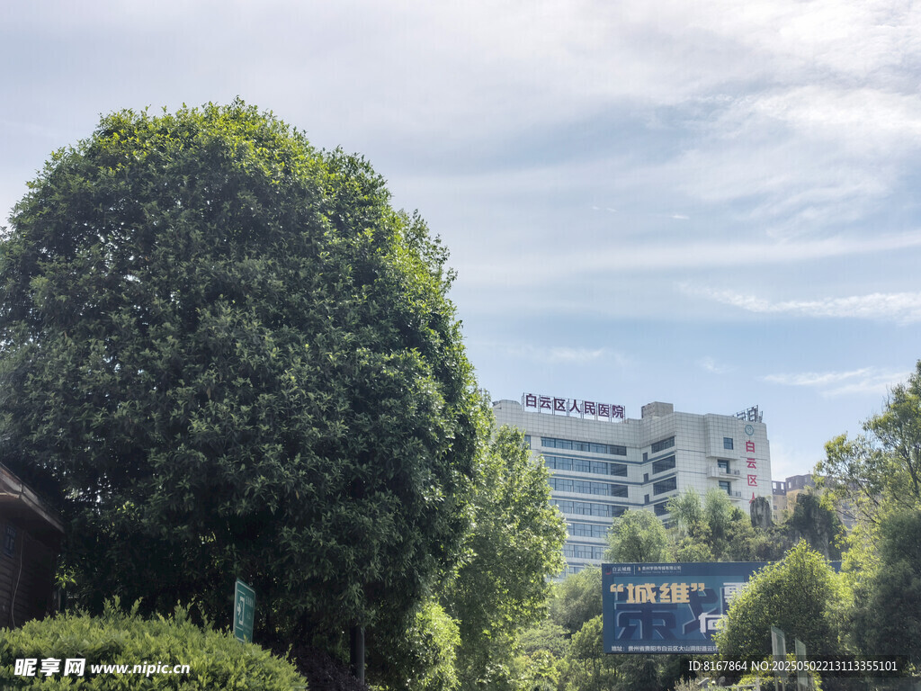 城市中修剪整齐的绿植景观