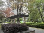 城市公园中的绿植与凉亭