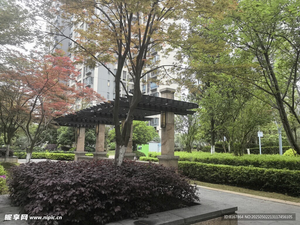 城市公园中的绿植与凉亭
