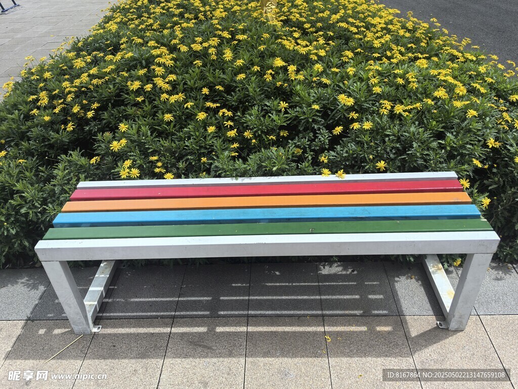 彩色长椅旁的繁茂花丛