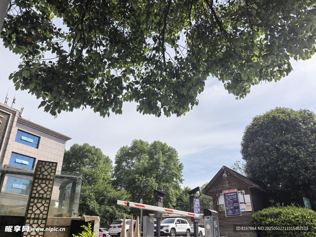 宁静街道的日常景象