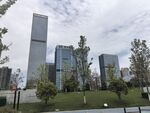 城市中的现代建筑与绿地