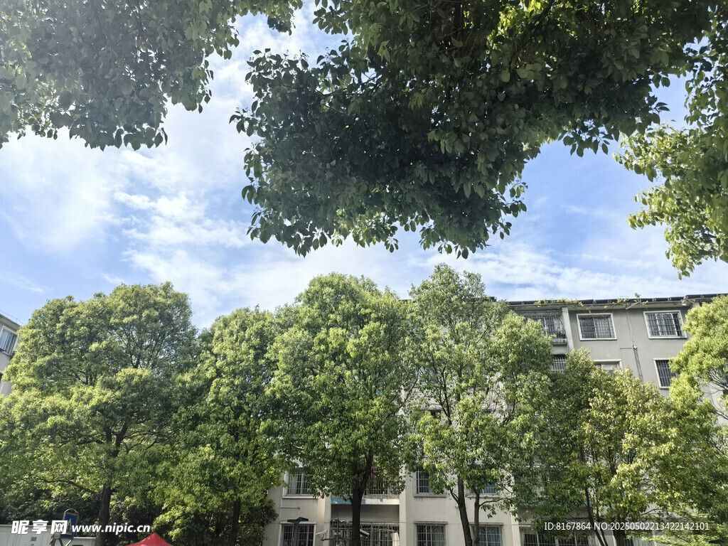 绿树掩映下的建筑景观