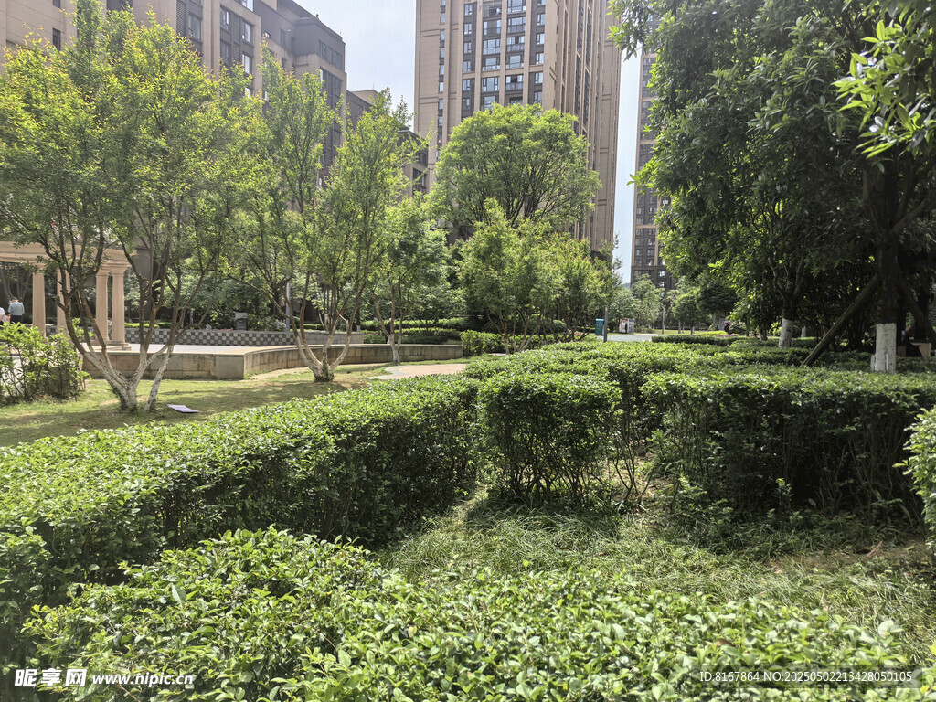 城市中的绿意园林景观
